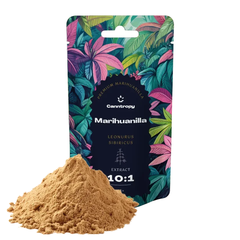 Canntropy Marihuanilla („Leonurus sibiricus”) Ekstrakt 10:1, 5 g - 100 g
