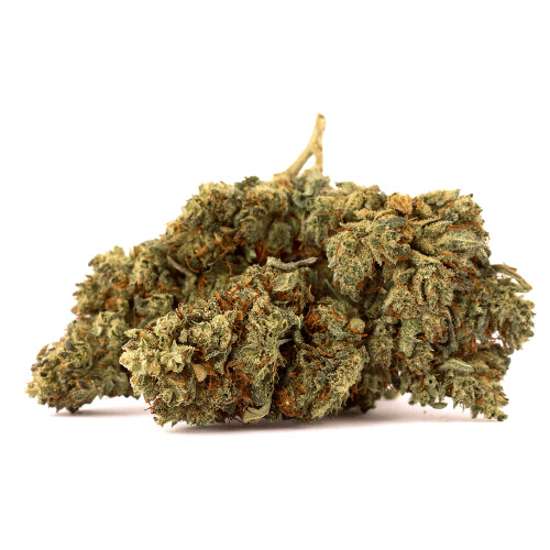 Euphoria T9HC Peach Haze Kwiaty (opakowanie hurtowe), 100 g
