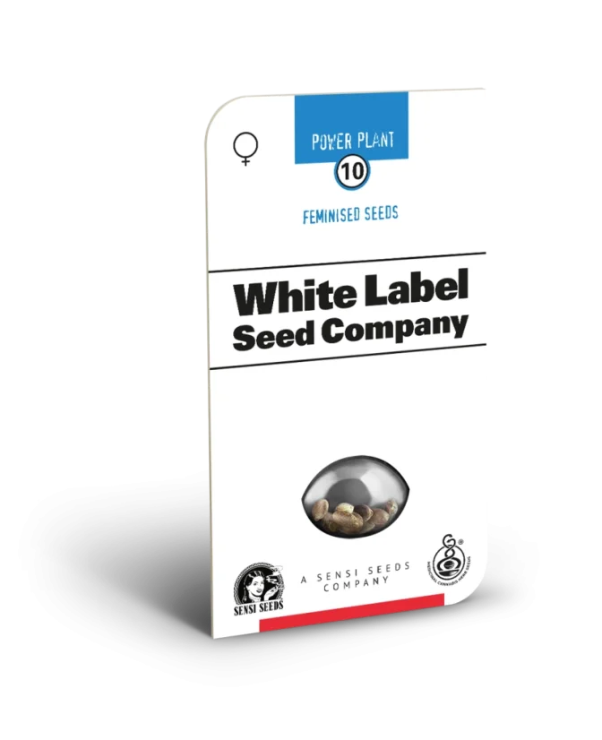 Sensi Seeds Cannabis Seeds Pure Power Plant Feminisiert von White Label, 3-10 Stk.
