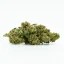 CBD Flower Sweet Mango 10 %, 1 g - 100 g