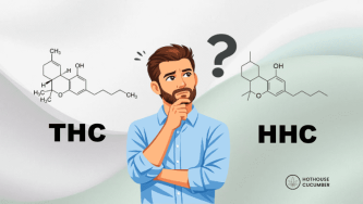 Wzór chemiczny THC i HHC, ilustracja zamyślonego mężczyzny, logo Hothouse Cucumber w prawym dolnym rogu.