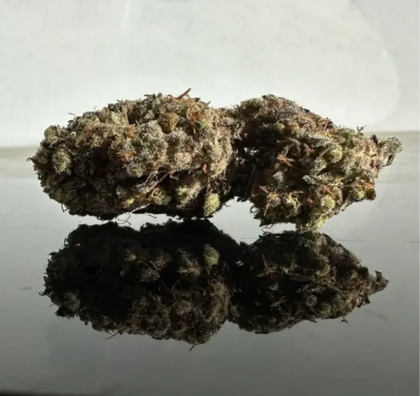 Czech CBD THCD kwiat konopi Wedding Cake, 1 g - 1000 g