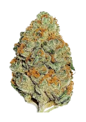 Fast Buds Kanepiseemned Sidruni ja mandariiniga feminiseeritud