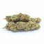 HHC gėlių mėginių rinkinys - Tropical Kush 10 %, Limoncello 20 %, Gelato 30 %, Amnesia 40 % - 4x1g