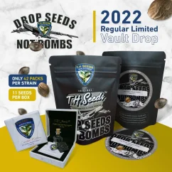 T.H.Seeds™ Cannabis seeds French Kisz X Melonsicle Regular Limited Vault Drop, 11er Pack