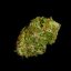 Royal Queen Seeds Cannabis Seeds Apollo F1 Auto