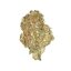 Royal Queen Seeds Semi di Cannabis Quick One Auto