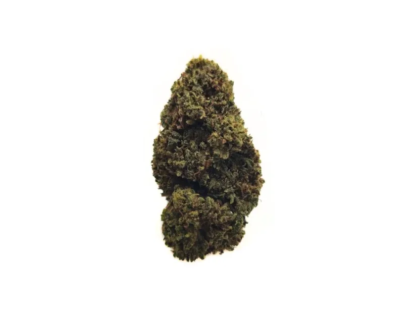 Czeski kwiat CBD THCD Orange Cookies, 8% THCD, 1 - 1000 g