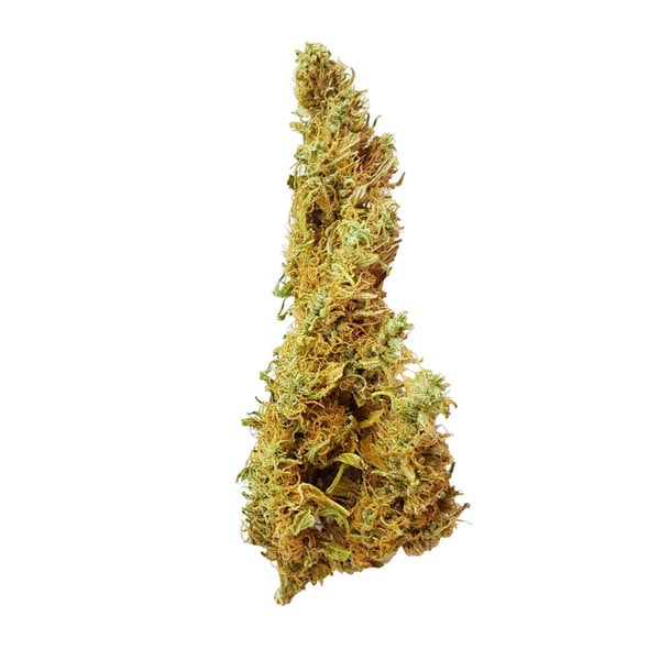 Royal Queen Seeds Kaņepju Sēklas HulkBerry Feminized