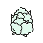 10-OH-THC Kwiaty