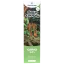 Canntropy Vape pero za enkratno uporabo CBNO Sour Tangie, CBNO 94% kakovost, 1 ml