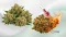 Fresh cannabis flowers next to a heated cannabis flower with a temperature symbol.