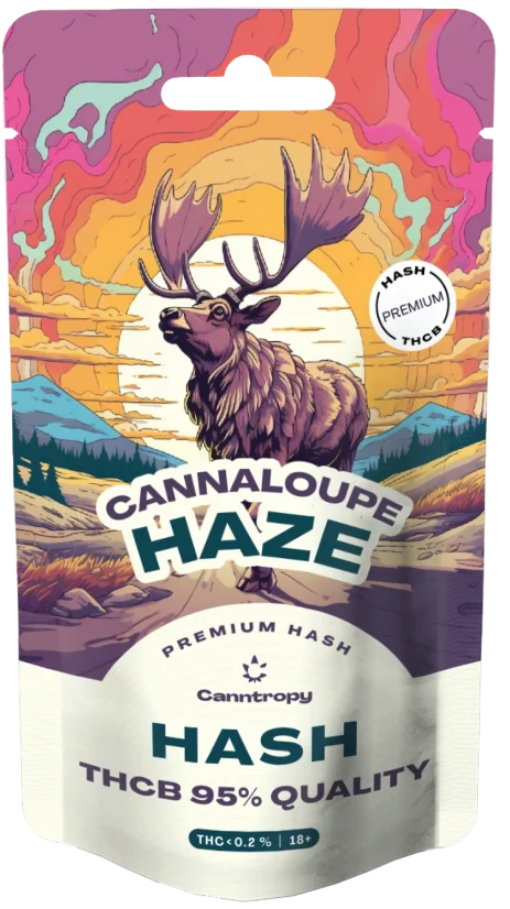 Canntropy THCB Hash Cannaloupe Haze, jakość THCB 95%, 1 g - 5 g