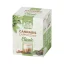 Multitrance Kawa konopna Cappuccino instant (10 x 14 g)