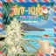 T.H.Seeds™ Cannabis Seeds Wy-Kiki, различни пакети, феминизирани