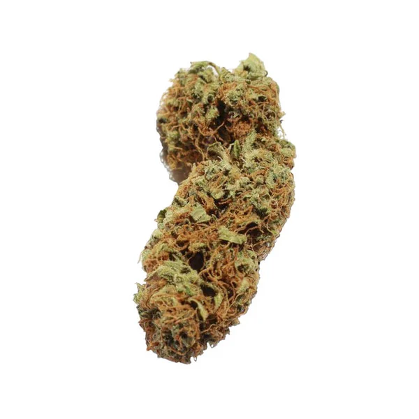 Royal Queen Seeds Semená konope Northern Light Auto