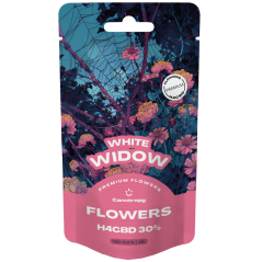 Canntropy H4CBD-bloem White Widow 30%, 1 g - 100 g