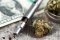 Cannabis vaporizer on a dollar bill for vaping herbs