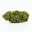 CBD Freeze-Dried Flower Ultra Pink 16 %, 1 g - 100 g