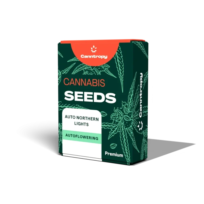 Canntropy Seeds Auto Northern Lights (Autoflowering)