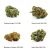 CBD Blommor provset - Durban Gelato 15% CBD, Green Crack 20% CBD, Blueberry Cookies 25% CBD, Kush Mint 30% CBD, 4 x 1 g