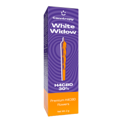 Canntropy H4CBD Prerolls White Widow, 30% H4CBD, 1,5g
