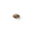 The Bulldog Seeds The Bulldog Cookies Femminizzati, 3 e 5 pz