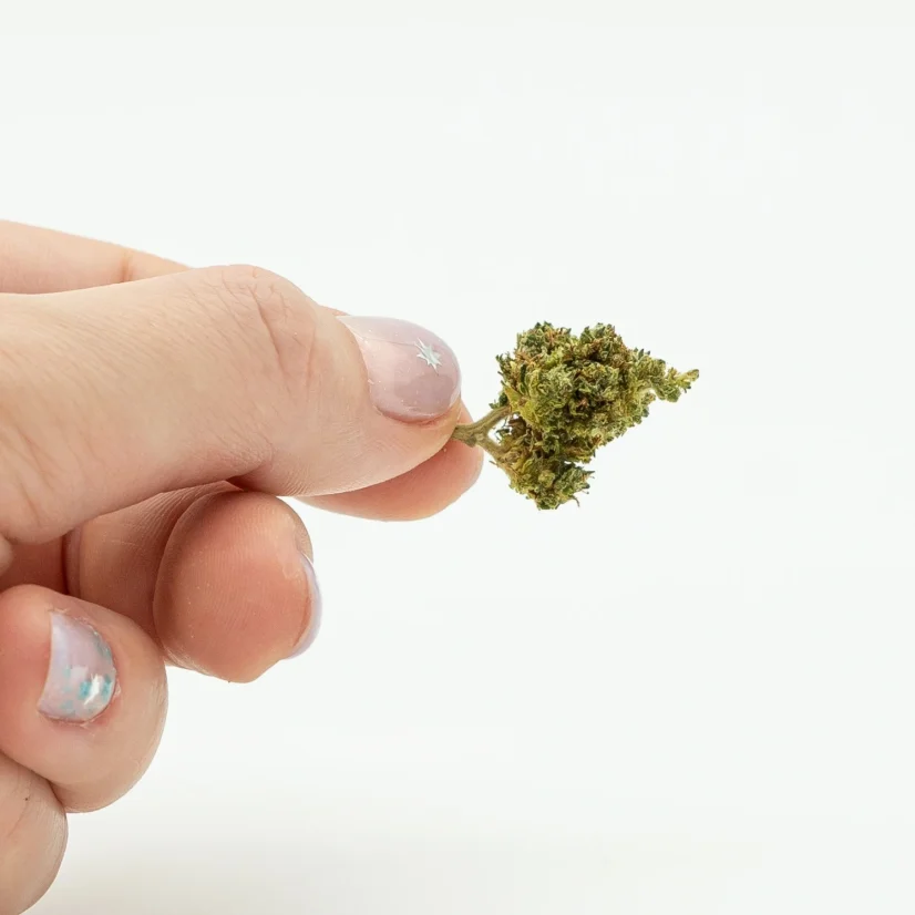 Herbican CBD Hemp Flower Amnesia, 5 g - 100 g
