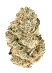 Fast Buds Kanepiseemned Gorilla Melon feminiseeritud