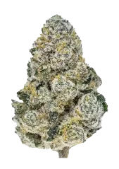 Fast Buds Kanepiseemned Lemonpaya feminiseeritud
