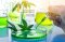 The origin of the new cannabinoid HHCH