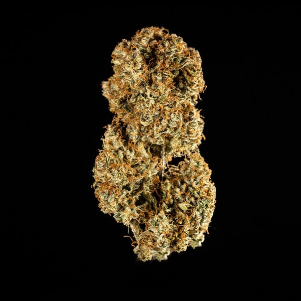 Royal Queen Seeds Cannabis Seeds Medusa F1 Auto