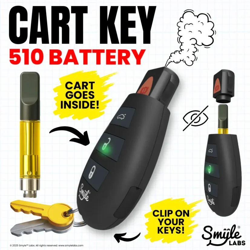 Smyle Labs 510 Battery Car Key Penjamin