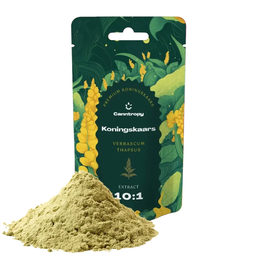 Canntropy Divizna malokvětá (Verbascum thapsus) extrakt 10:1, 5 g - 100 g