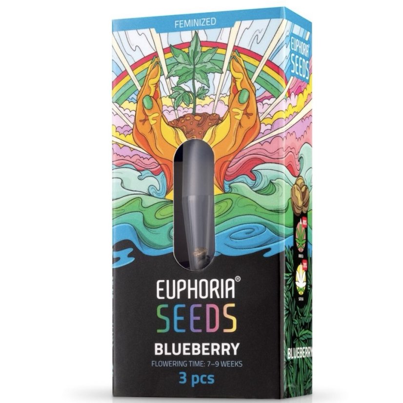 Euphoria Seeds Blueberry Femminizzato