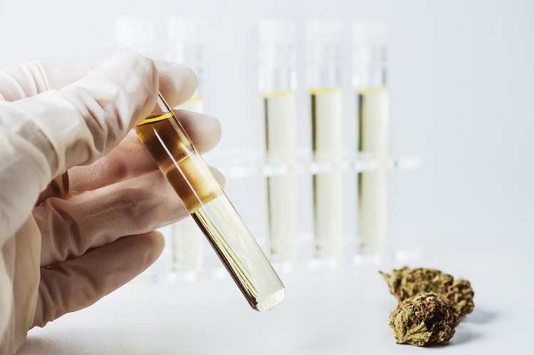 H4CBD: What is it and why is there so much talk about it?