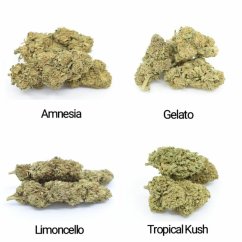 Zestaw próbek HHC Flowers - Tropical Kush 10%, Limoncello 20%, Gelato 30%, Amnesia 40% - 4x1g