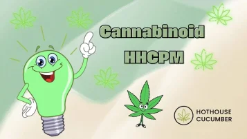 Tutto sull'HHCPM: effetti, produzione, struttura ed esperienze degli utenti. In che modo si differenzia dall'HHC e dall'HHCP e quali prodotti sono disponibili? Scoprilo in questo articolo. Cannabinoide HHCPM – una lampadina illustrata come simbolo per spiegare cos'è l'HHCPM, accompagnata dal logo HotHouseCucumber.