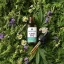 Herbican Vollspektrum CBD-Öl, 40 %, 10 ml