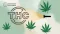 Besedilo: THC, na njega sije luč, dopolnjeno z listi konoplje, zgoraj levo HotHouseCucumber