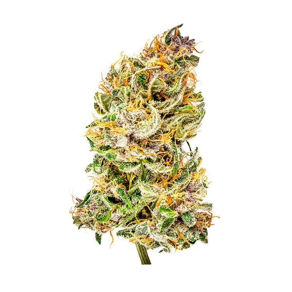 Royal Queen Seeds Cannabis Seeds Bubble Kush Auto