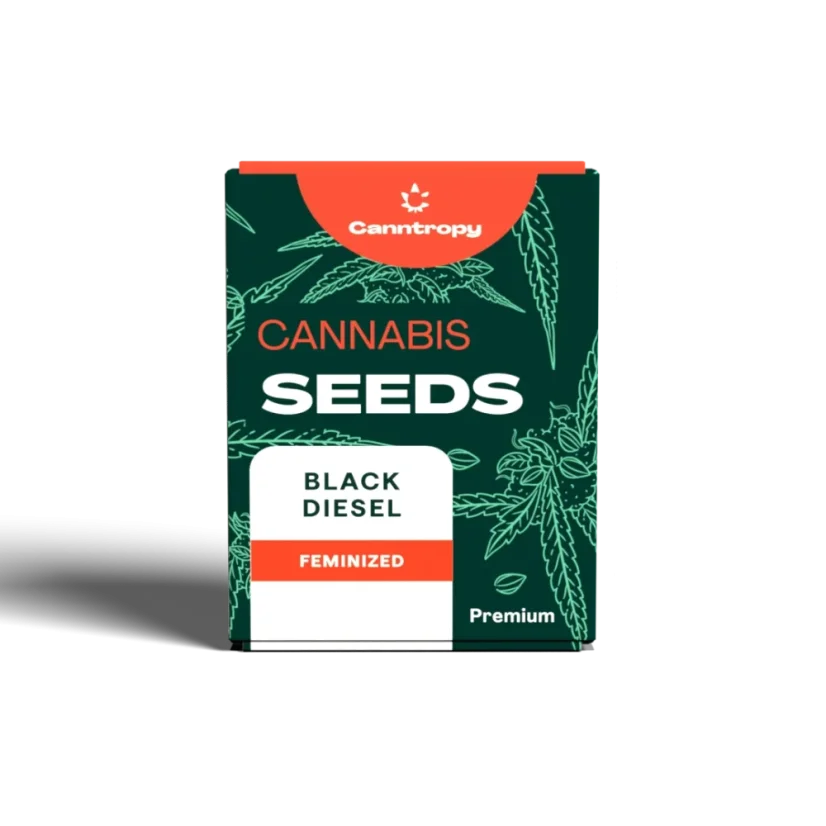 Canntropy Seeds Black Diesel (Feminized)