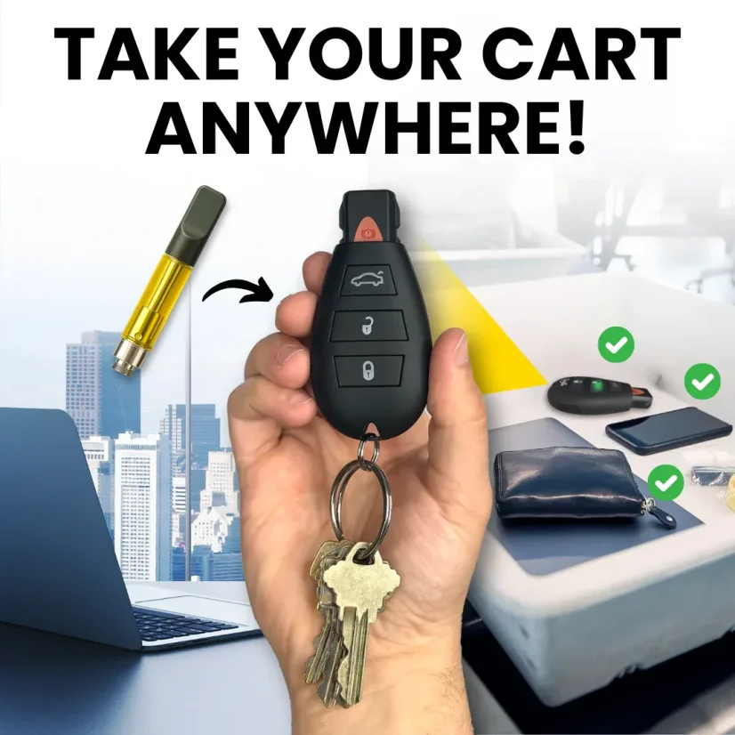 Smyle Labs 510 Battery Car Key Penjamin