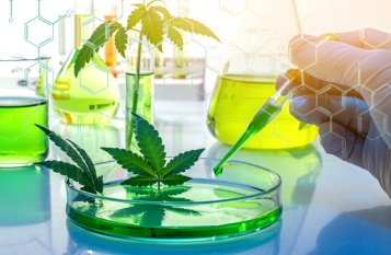 De oorsprong van de nieuwe cannabinoïde HHCH