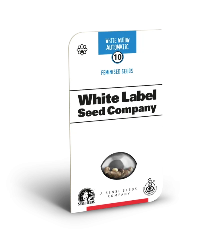 Sensi Seeds Cannabis Seeds White Widow Automatic Feminized by White Label, 3-10 pcs