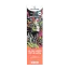Canntropy 10-OH-HHCP Vape Pen Dabbalicious, 10-OH-HHCP 94% quality, 1 ml