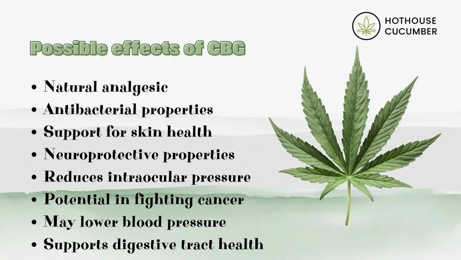 Infographic describing the possible effects of CBG