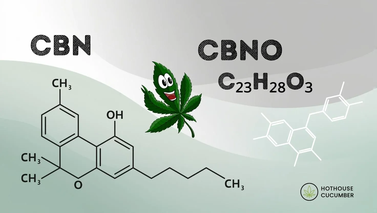 CBN molekulārās struktūras un CBNO molekulārās formulas C₂₃H₂₈O₃ attēls kopā ar HotHouseCucumber logotipu