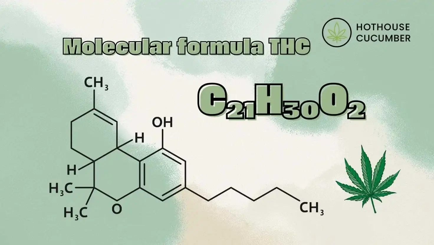 Illustration of the molecular structure of THC C21H30O2